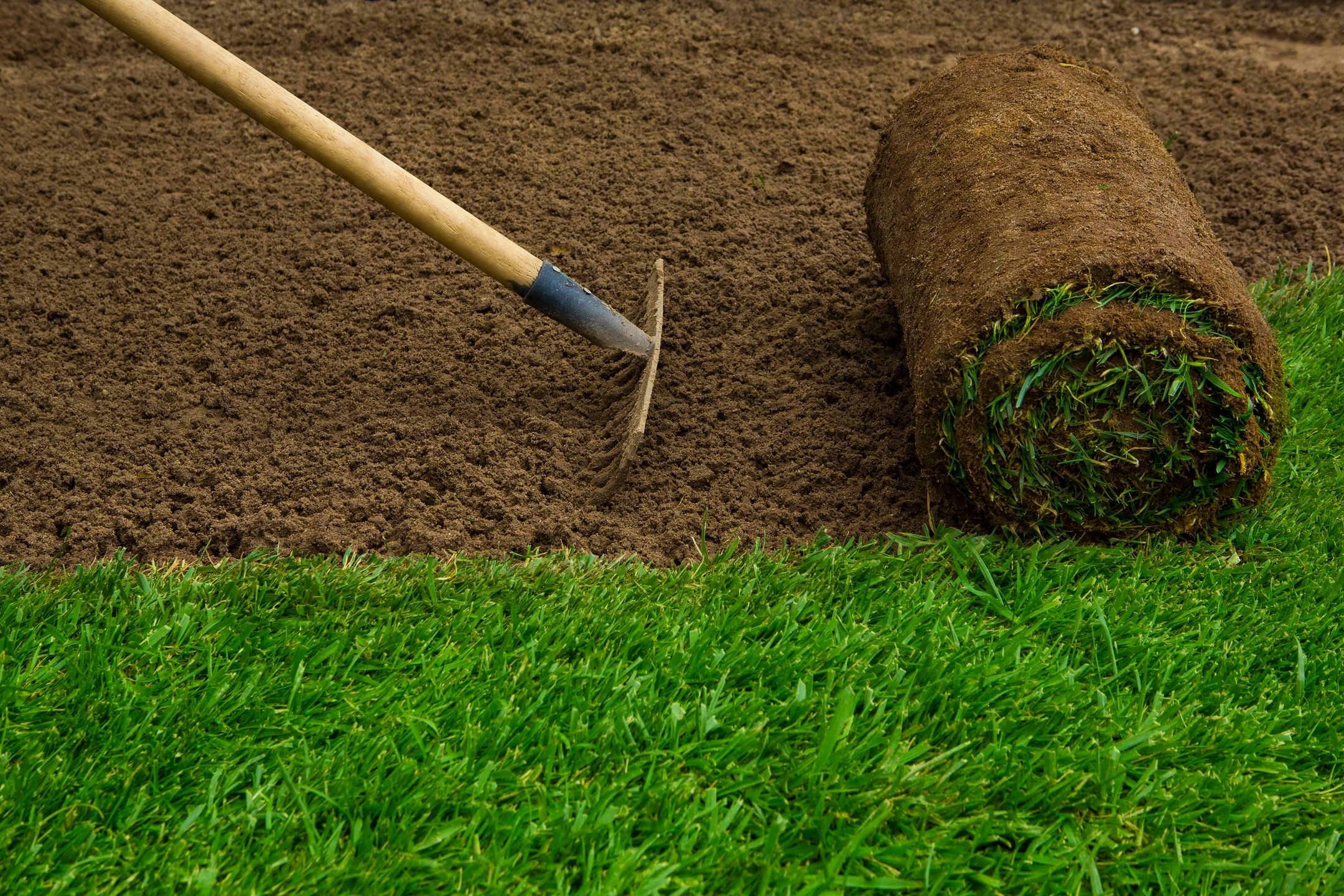 Rake and rolled sod lawn installation