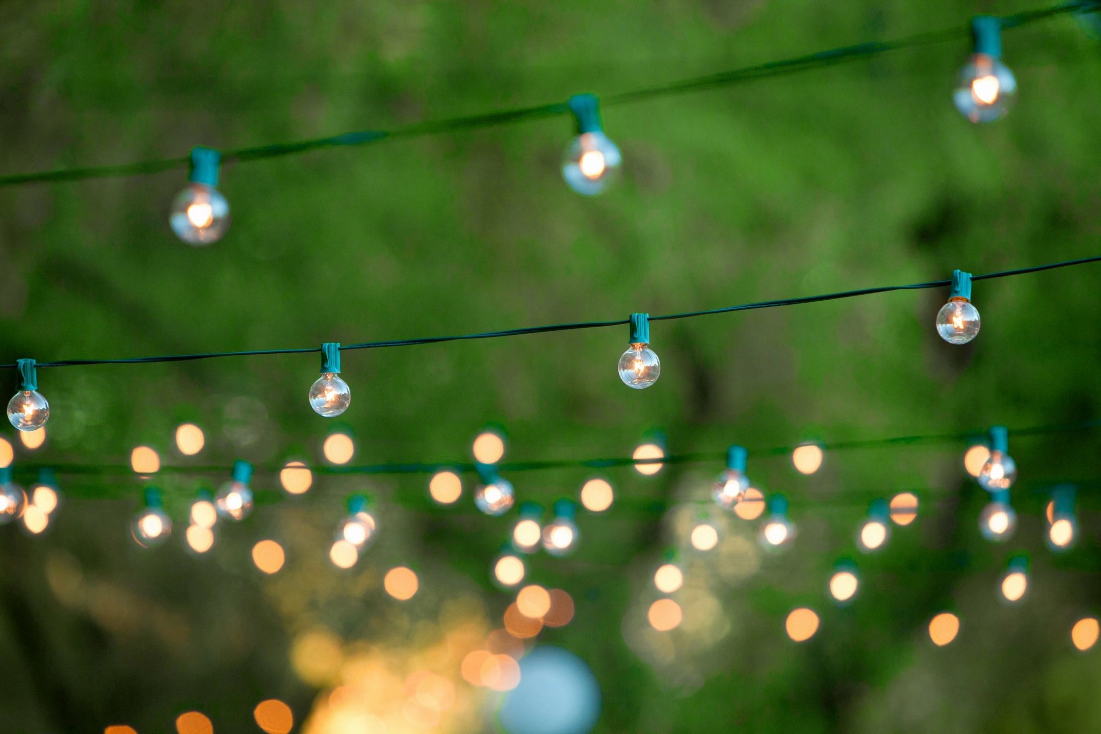 String lights in garden at evening